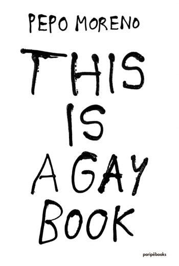 This is a gay book
