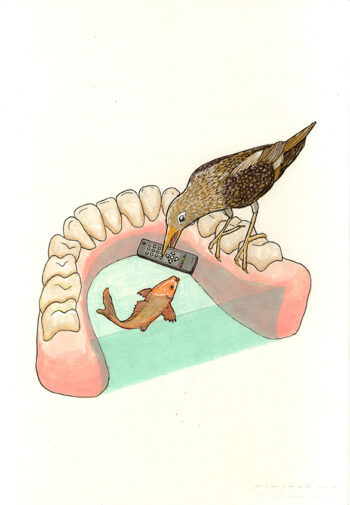 COLABORACIÓN INTERESPECÍFICA