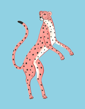 PINK CHEETAH
