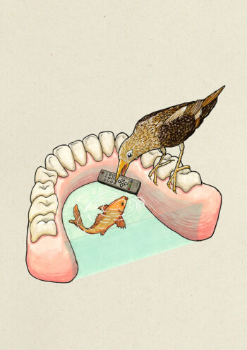 COLABORACIÓN INTERESPECÍFICA